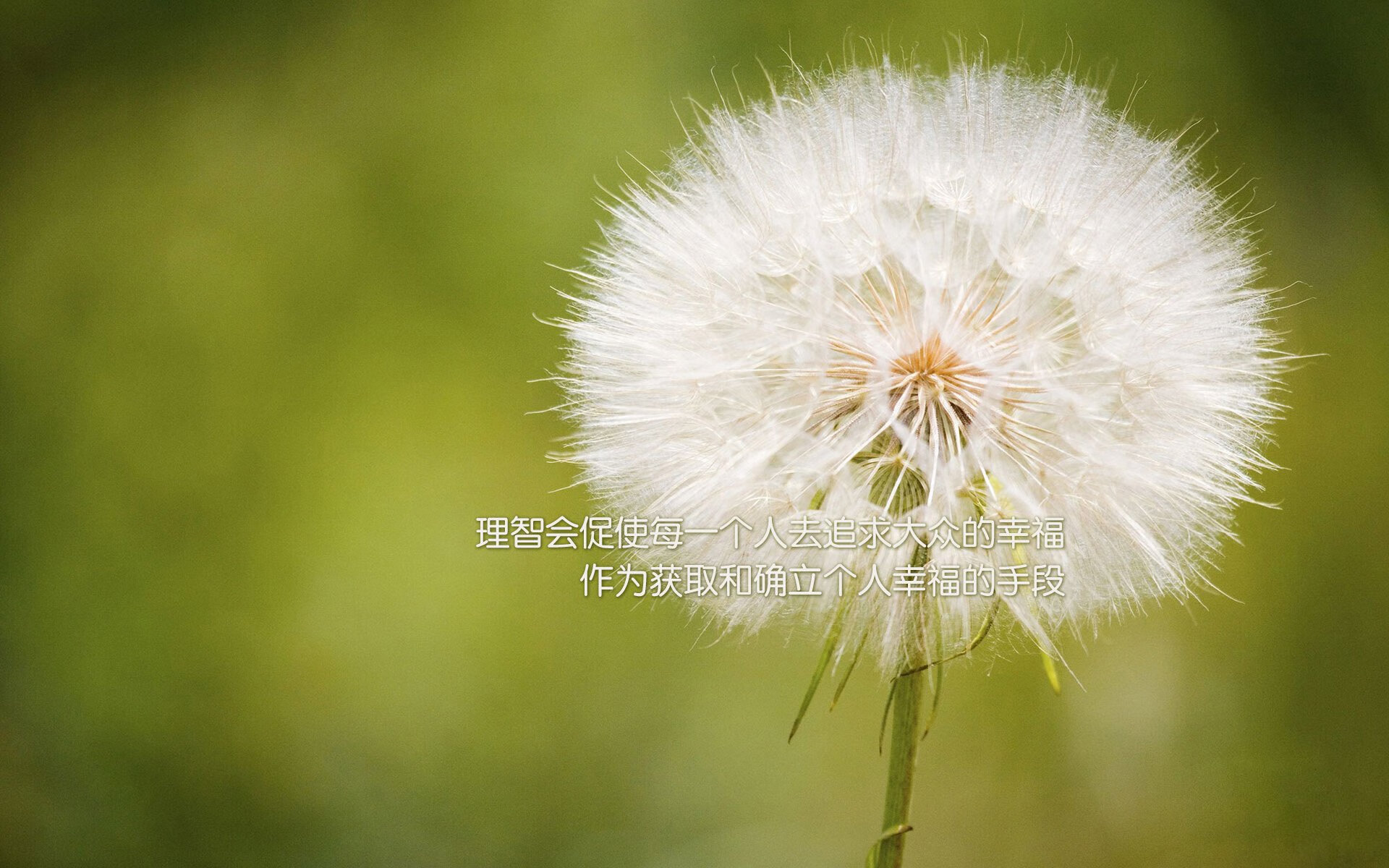 2201铁矿石期货行情(铁矿石期货现货价格)