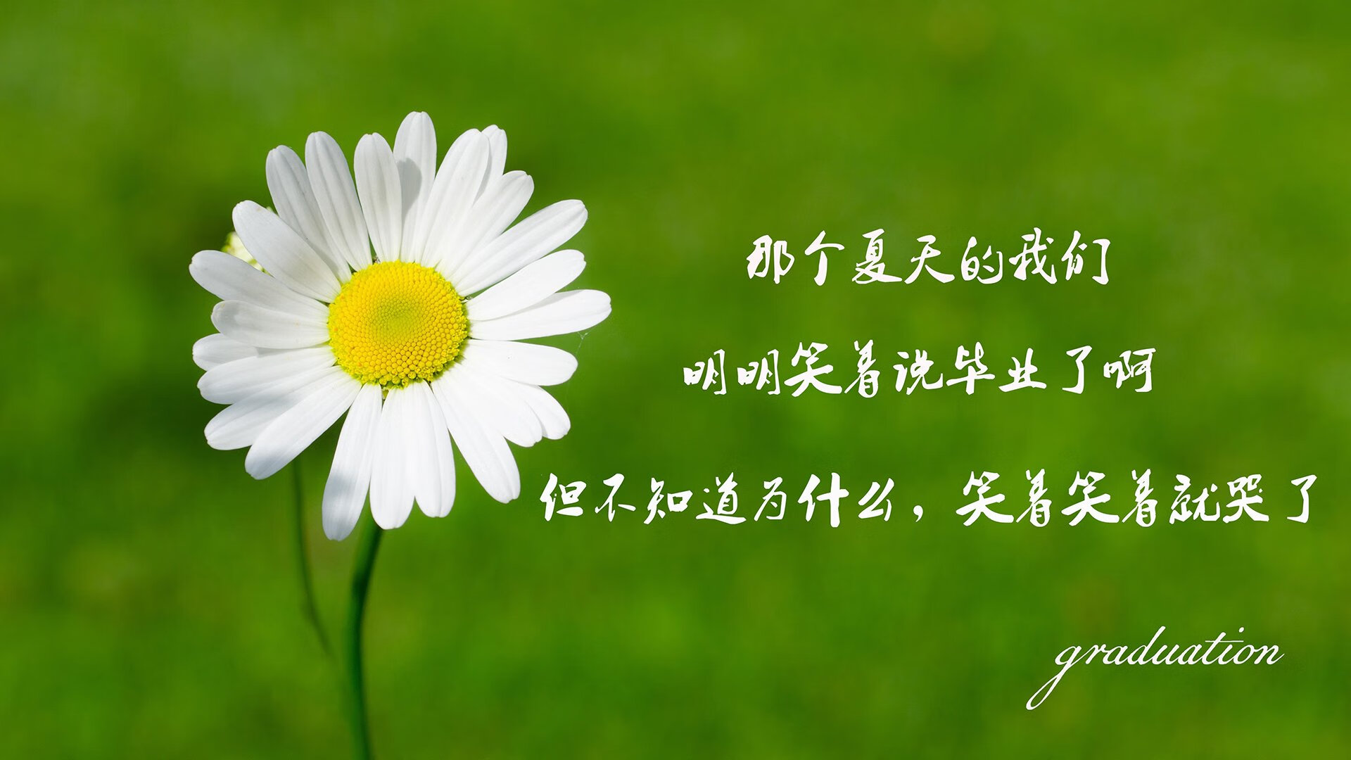 铁矿石是什么(铁矿石是什么成分)